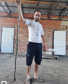 Артур